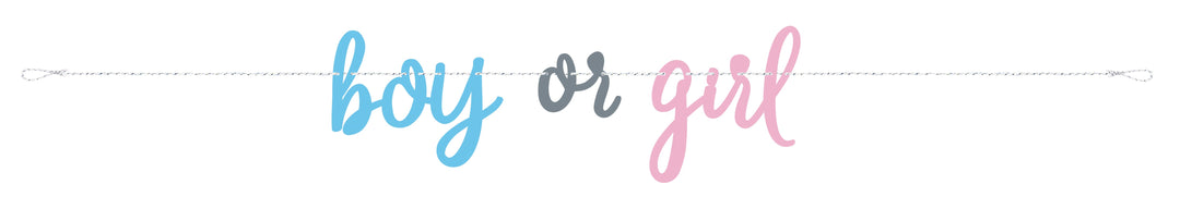 Gender Reveal Banner – Effortless Setup for Memorable Celebrations!