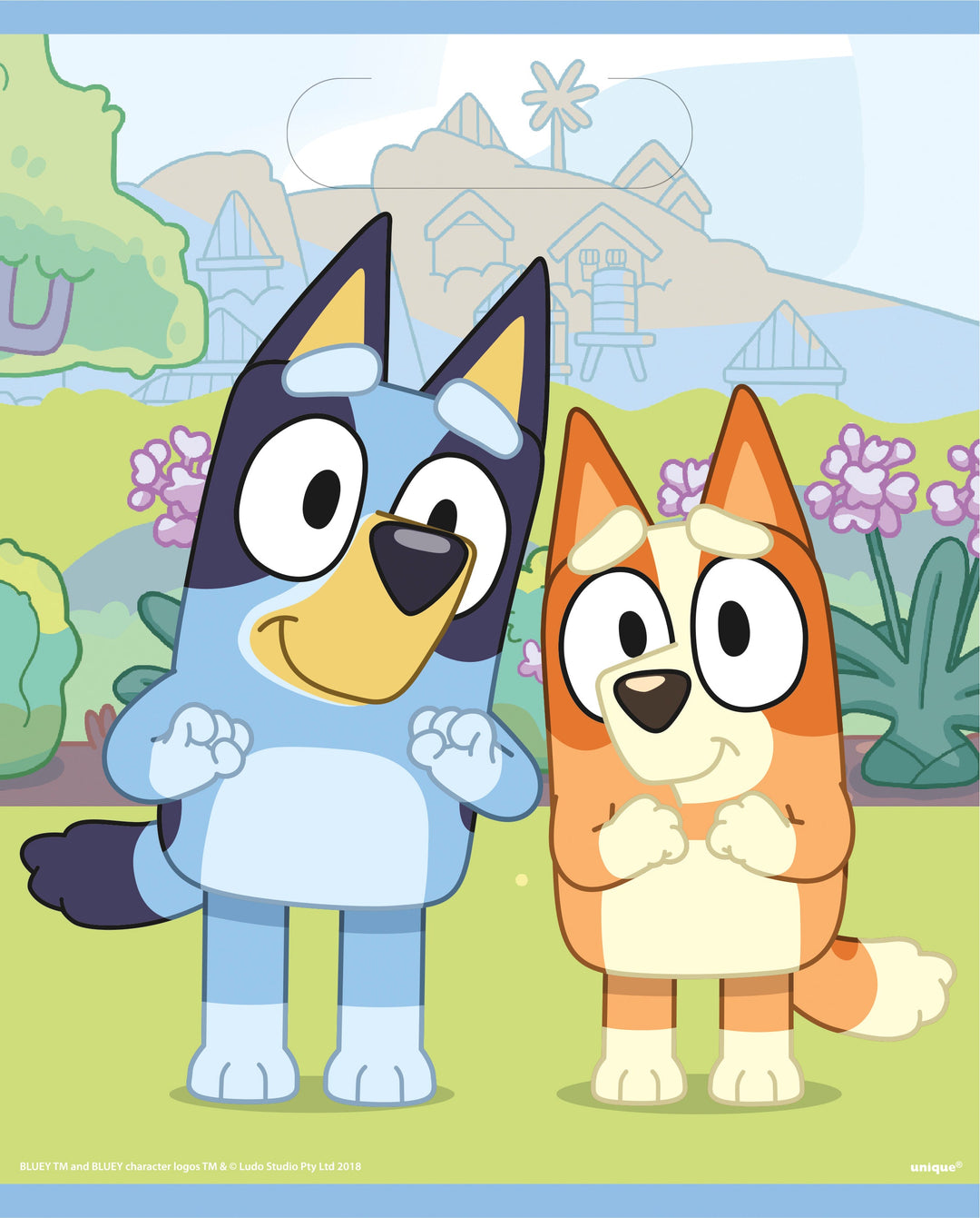 Bluey Party Supplies Bundle: Unbeatable Fun for Birthday Celebrations!