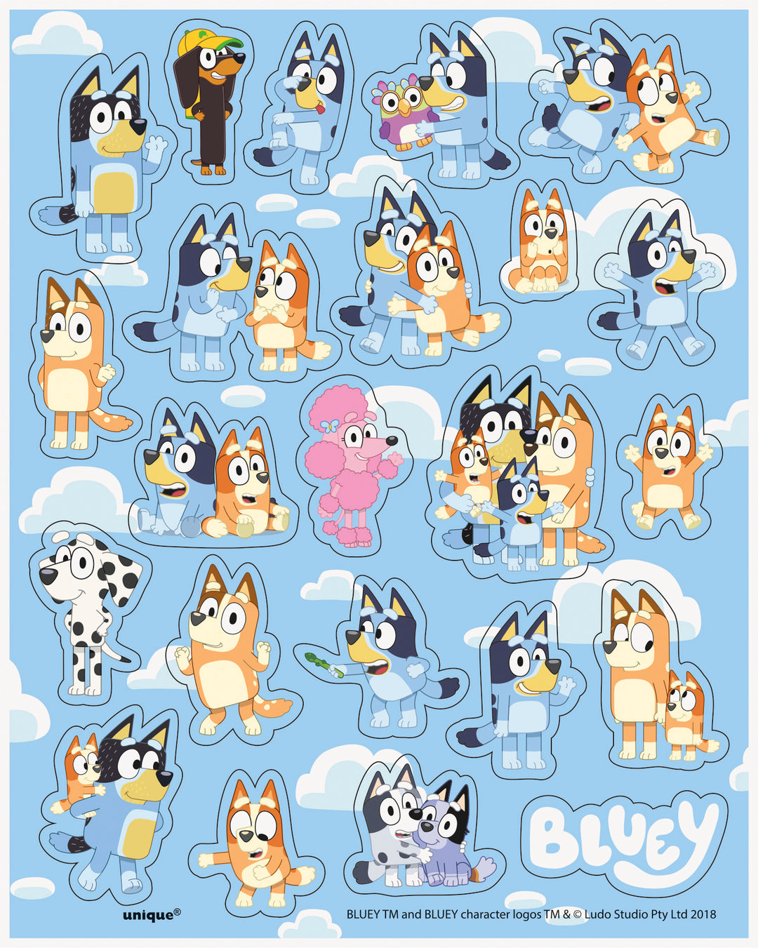 Bluey Party Supplies Bundle: Unbeatable Fun for Birthday Celebrations!