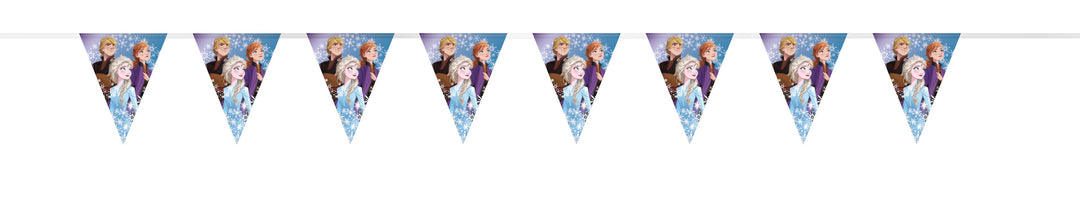 Enchanting Frozen Party Decor Kit - Easy Setup - Affordable Dazzle for Magical Girls' Birthdays