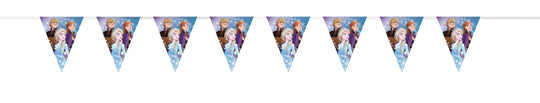 Enchanting Frozen Party Decor Kit - Easy Setup - Affordable Dazzle for Magical Girls' Birthdays