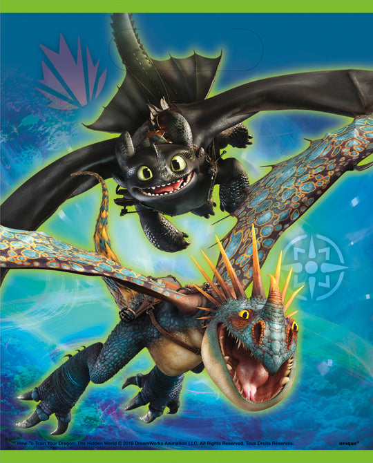 Unleash the Dragon Adventure with How to Train Your Dragon Loot Bags!