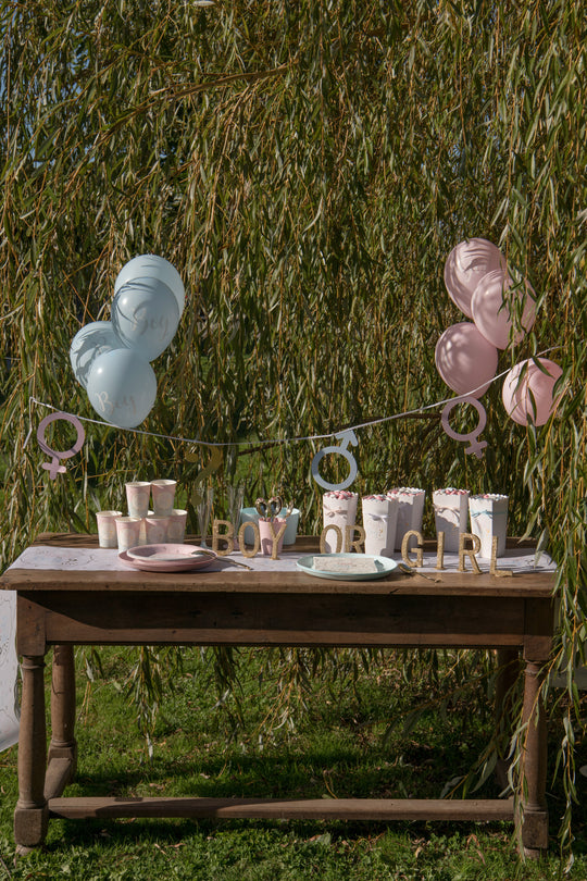 Chic Gender Reveal Party Banner - Captivate Guests with Trend-Setting Elegance