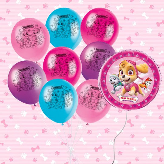 Skye Paw Patrol Party Bundle: Effortless Fun in Every Box!